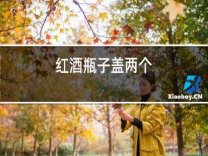 红酒瓶子盖两个