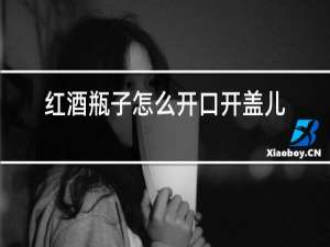 红酒瓶子怎么开口开盖儿