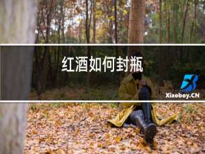 红酒如何封瓶