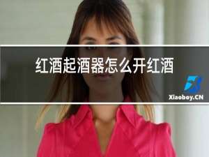 红酒起酒器怎么开红酒