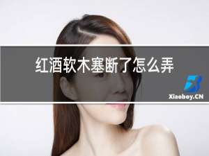 红酒软木塞断了怎么弄