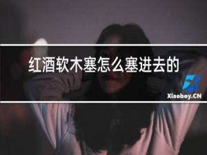 红酒软木塞怎么塞进去的