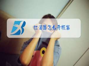 红酒器怎么开瓶塞