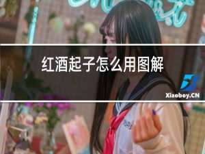 红酒起子怎么用图解