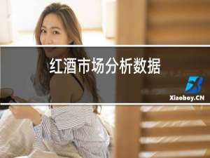 红酒市场分析数据
