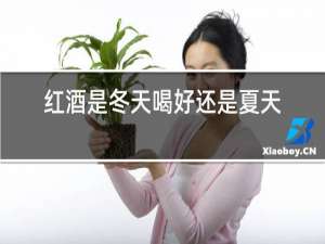 红酒是冬天喝好还是夏天喝好