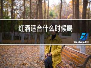 红酒适合什么时候喝