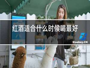 红酒适合什么时候喝最好