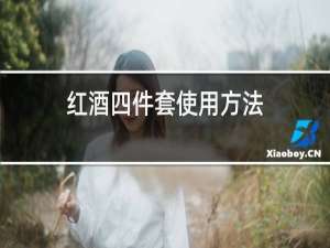 红酒四件套使用方法