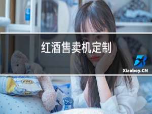 红酒售卖机定制