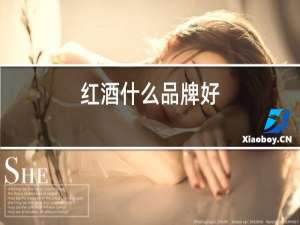 红酒什么品牌好