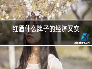 红酒什么牌子的经济又实惠