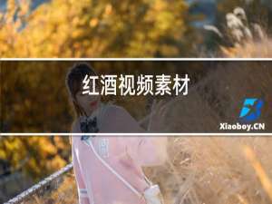 红酒视频素材