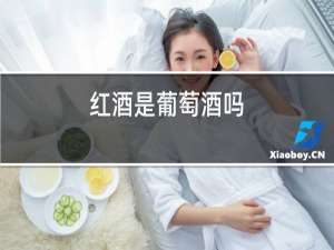 红酒是葡萄酒吗