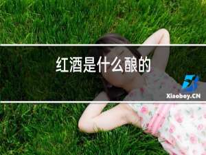 红酒是什么酿的