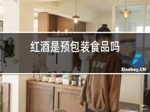 红酒是预包装食品吗