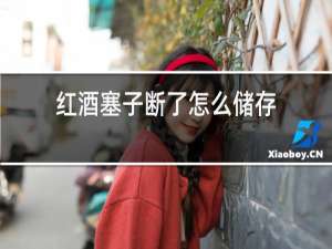 红酒塞子断了怎么储存