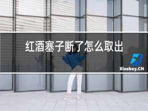 红酒塞子断了怎么取出