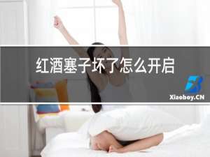 红酒塞子坏了怎么开启