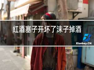 红酒塞子开坏了沫子掉酒里了