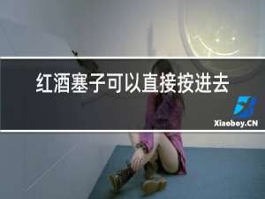 红酒塞子可以直接按进去吗