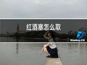 红酒塞怎么取