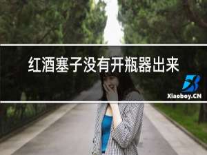 红酒塞子没有开瓶器出来怎么办