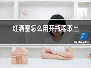红酒塞怎么用开瓶器取出来