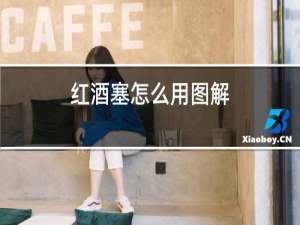 红酒塞怎么用图解