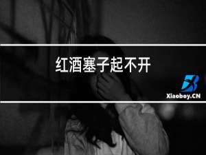 红酒塞子起不开