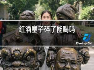 红酒塞子碎了能喝吗