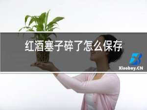 红酒塞子碎了怎么保存