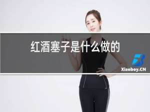红酒塞子是什么做的