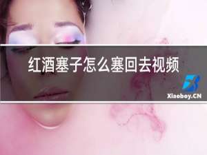红酒塞子怎么塞回去视频