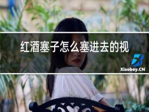 红酒塞子怎么塞进去的视频