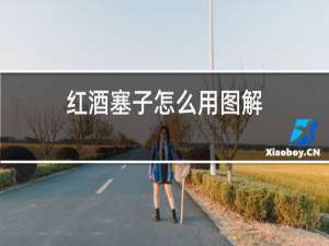红酒塞子怎么用图解