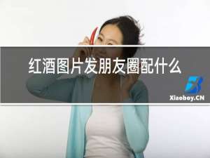 红酒图片发朋友圈配什么词