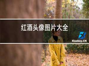 红酒头像图片大全