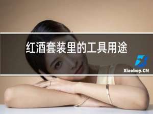 红酒套装里的工具用途
