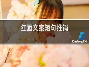 红酒文案短句推销