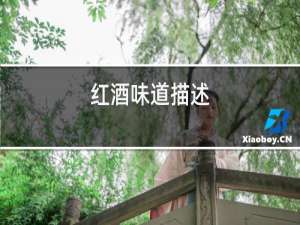 红酒味道描述