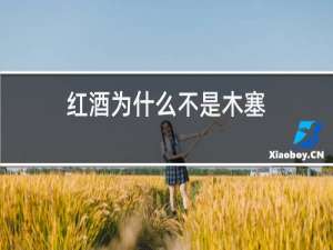 红酒为什么不是木塞