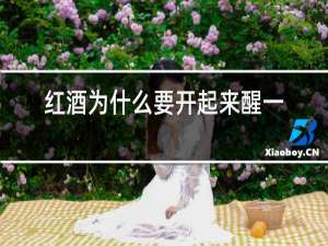 红酒为什么要开起来醒一下