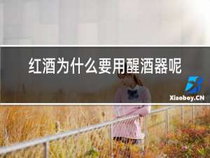 红酒为什么要用醒酒器呢