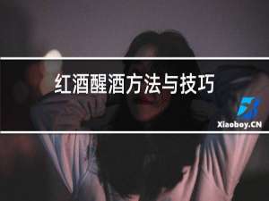 红酒醒酒方法与技巧