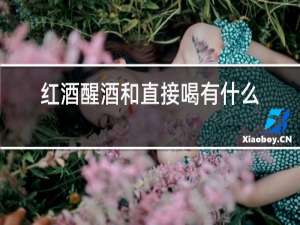 红酒醒酒和直接喝有什么区别