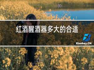 红酒醒酒器多大的合适