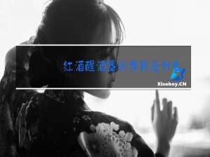 红酒醒酒器的作用是什么