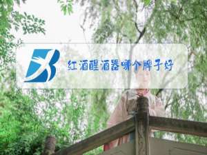 红酒醒酒器哪个牌子好