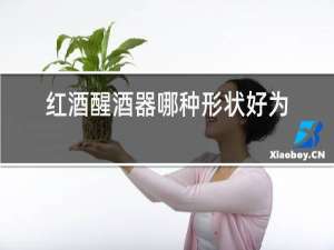 红酒醒酒器哪种形状好为啥好奇怪